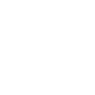 Sag80